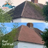 Softwash roof cleaners in Blockley