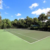 Sports court cleaning agents Burford